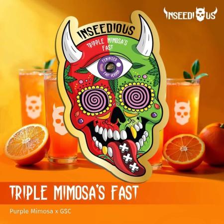 Inseedious Seeds New Strains & Hy-pro