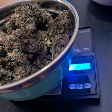 #2: Bubble Kush Cake Auto | Bud Voyage