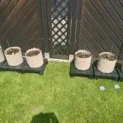 Outdoor Season 2026