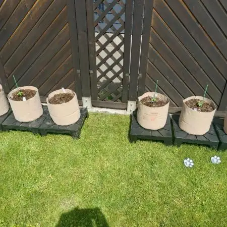 Outdoor Season 2026