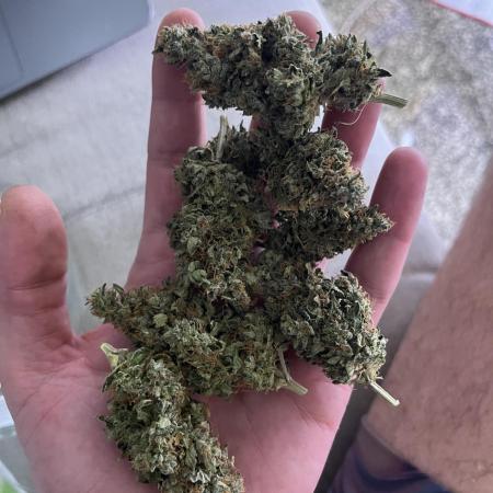 3rd Grow / Newby
