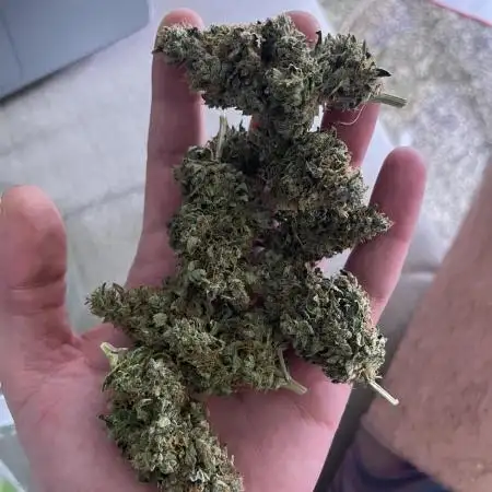 3rd Grow / Newby