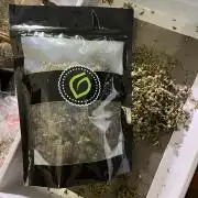 Alien OG - Clone from last year