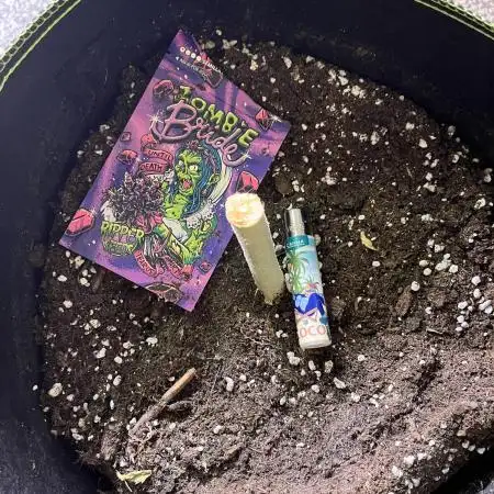 3rd Grow / Newby