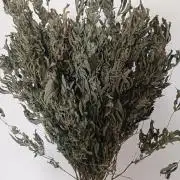 Run N2 Gorilla Glue #4 Fast Own Cut