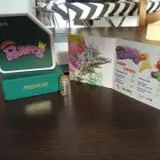 Run N1 Runts