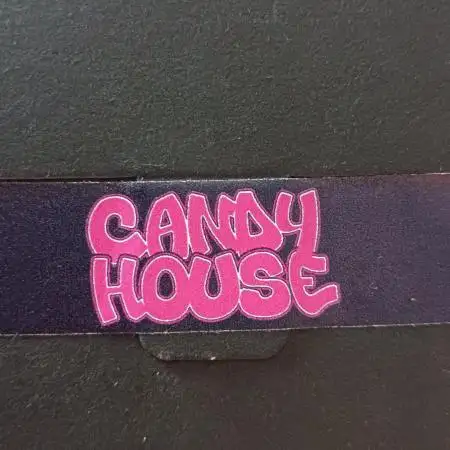 Run N1 Candy House