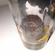 Auto Northern Lights | Coco-Kaya test |