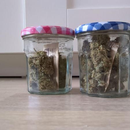 First growing | RQS |
