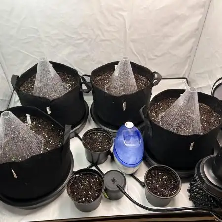Autos