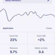 Jelly Donutz