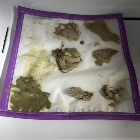 3 x Jelly Donutz klone