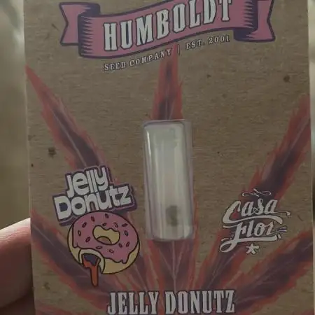 Jelly Donutz
