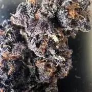 #1ST PHOTOS: SlushMintCake&SkywalkerHaze