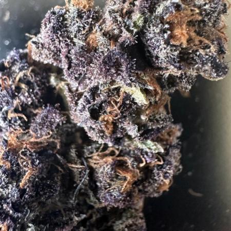 #1ST PHOTOS: SlushMintCake&SkywalkerHaze