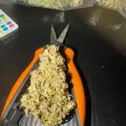 Banana cream cake XL