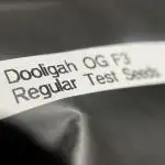 Terpyz - Dooligah 0G F3