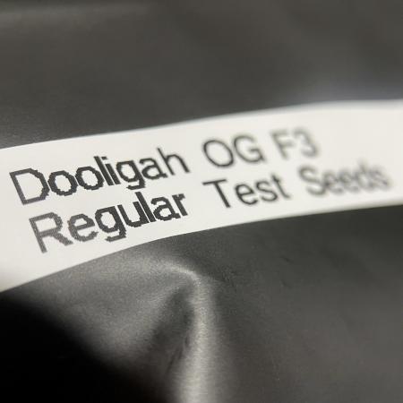 Terpyz - Dooligah 0G F3