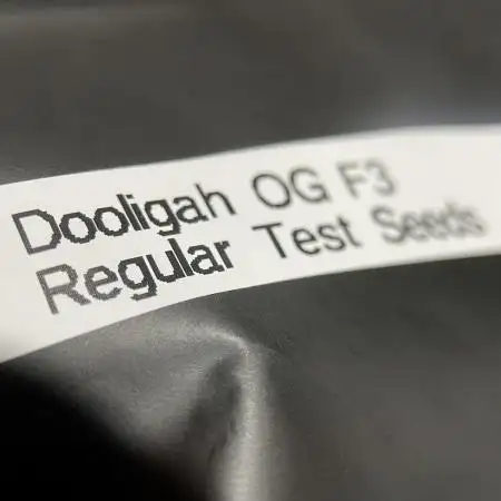 Terpyz - Dooligah 0G F3