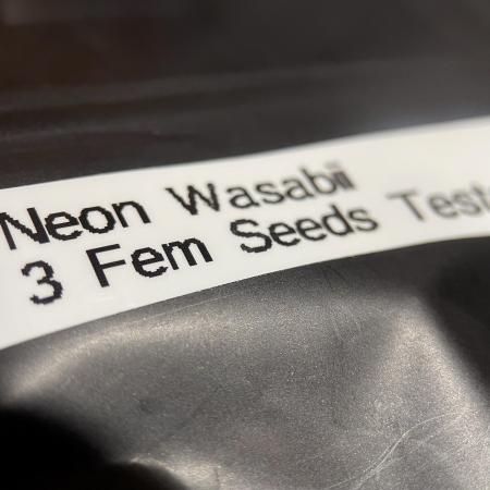 Terpyz - Neon Wasabi