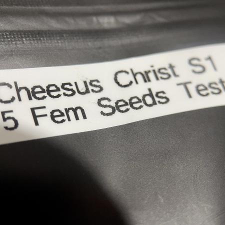 Terpyz - Cheesus Christ S1
