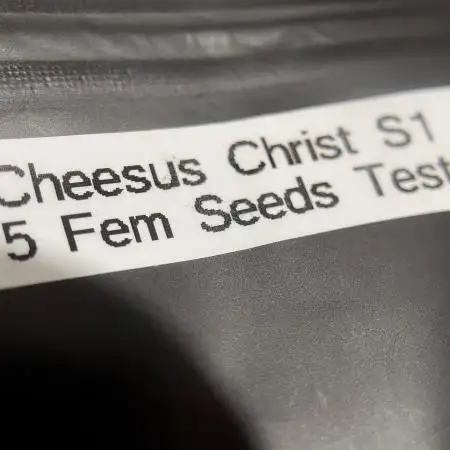 Terpyz - Cheesus Christ S1