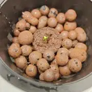 Stress Killer CBD Auto Royal Queen Seeds