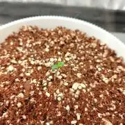 Quick one by RQS in 3D printed pot