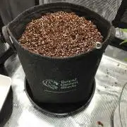 Royal CBDV auto by RQS in 3D printed pot