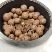 Stress Killer CBD Auto Royal Queen Seeds