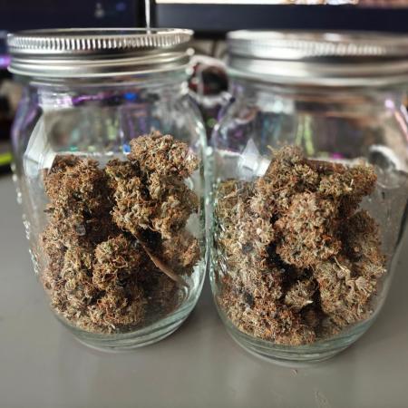 Apple Fritter Auto by RQS - Comm. grow!