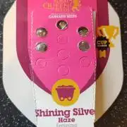 Shining silver haze RQS