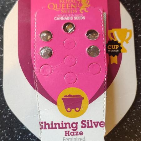 Shining silver haze RQS