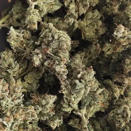 Blueberry Bliss / Amnesia XXL Auto