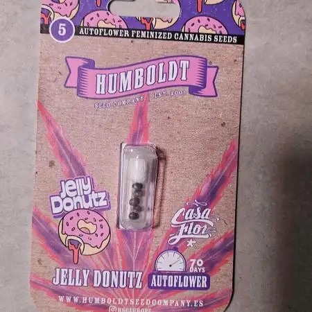 Jelly Donutz Auto HSC / DWC