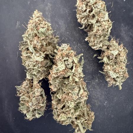 🍋🍒🍪 Indoor