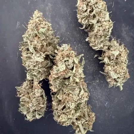 🍋🍒🍪 Indoor