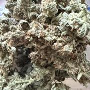 🦍🍪