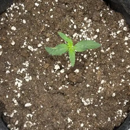 ☃️‼️Indoor