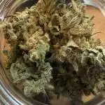 🦍🥊 Indoor