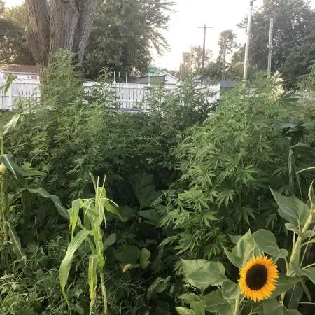 OUTDOOR 2025