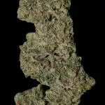 Excalibur Haze