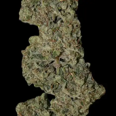 Excalibur Haze