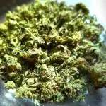 Matilda CBD