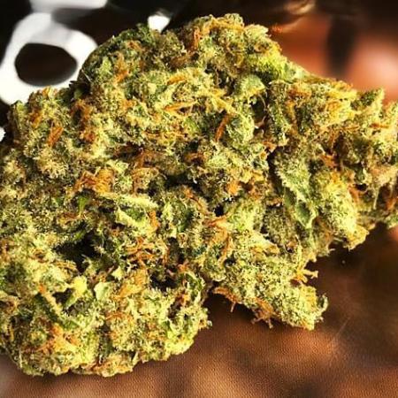 Mr.Nice G13 x Hash Plant (1999)