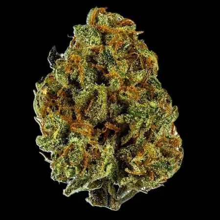 Amnesia Haze by Ferrox-Kollektiv