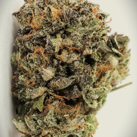 Hindu Kush