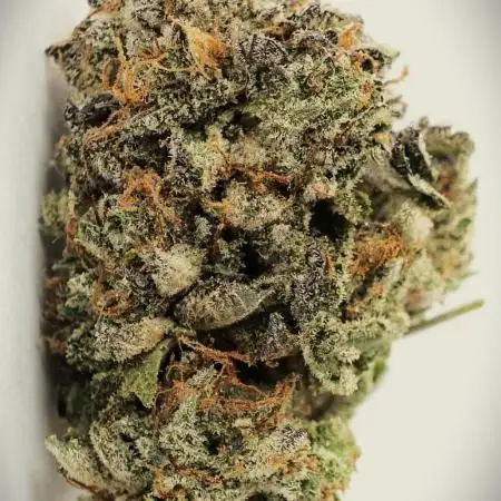 Hindu Kush
