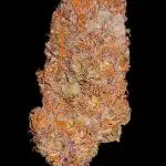 Chimera Cut Pheno #4