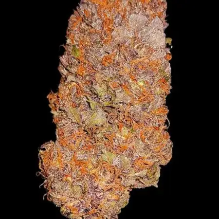 Chimera Cut Pheno #4